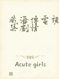 藏海传电视剧分集剧情