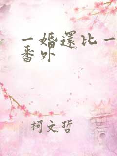 一婚还比一婚高番外