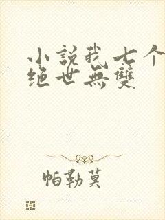小说我七个姐姐绝世无双