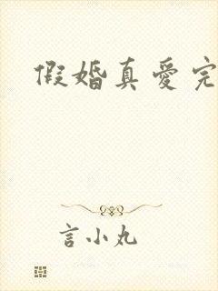 假婚真爱完结