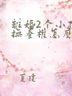 离婚2个小孩子抚养权怎么判定