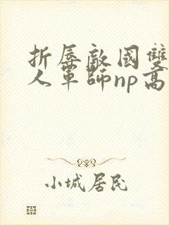 折辱敌国双性美人军师np高h