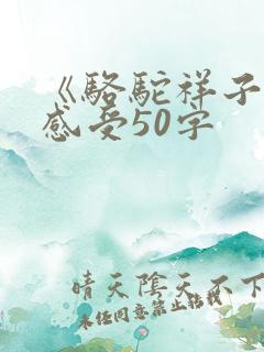 《骆驼祥子》的感受50字