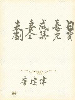 夫妻成长日记日剧全集免费观看