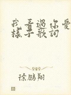 我看过你爱我的样子歌词