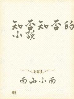 知否知否的原版小说