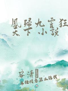 凤归九霄狂妃逆天下 小说