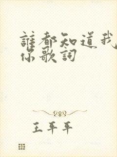 谁都知道我在想你歌词