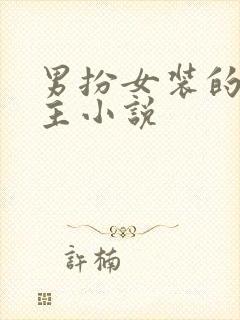 男扮女装的双男主小说