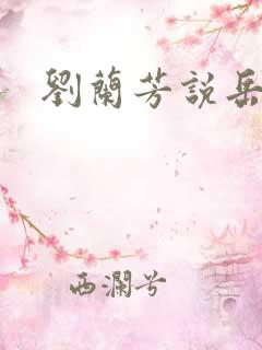 刘兰芳说岳飞传