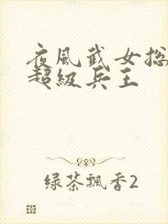 夜风武女总裁的超级兵王