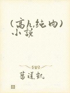 (高h,纯肉)小说