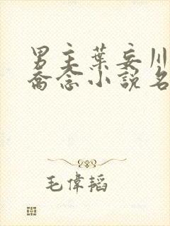 男主叶妄川女主乔念小说名字