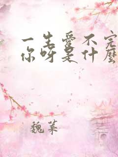 一生爱不完的是你呀是什么歌