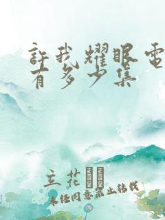 许我耀眼电视剧有多少集