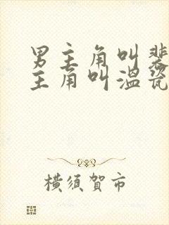 男主角叫裴寂女主角叫温瓷