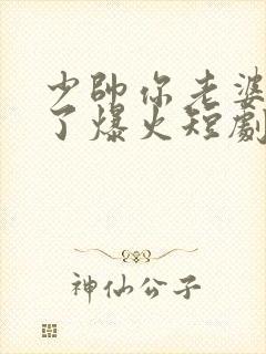 少帅你老婆又跑了爆火短剧