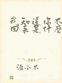 我知道你不会再回来是什么歌