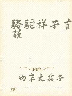 骆驼祥子有声小说