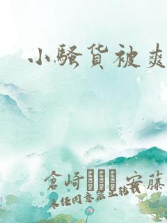 小骚货被爽视频