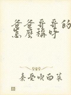 爸爸哥哥的女儿怎么称呼