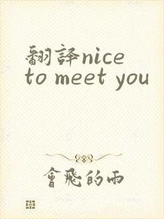 翻译nice to meet you
