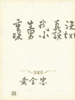 重生我真没想当暖男小说txt