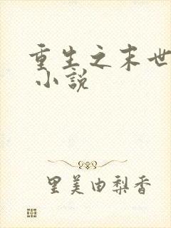 重生之末世女神 小说