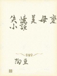 失忆美母变老婆小说