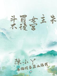 斗罗女主朱竹清不后宫