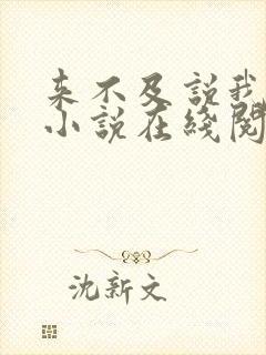 来不及说我爱你小说在线阅读