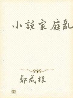 小说家庭乱论