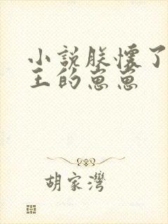 小说朕怀了摄政王的崽崽