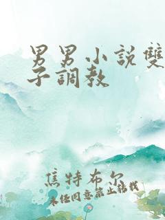 男男小说双性父子调教