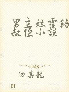 男主姓霍的总裁叔侄小说