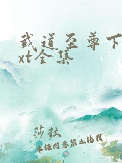 武道至尊下载txt全集