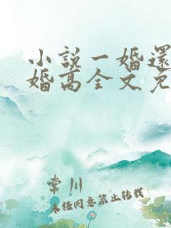小说一婚还比一婚高全文免费阅读