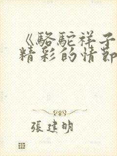 《骆驼祥子》最精彩的情节