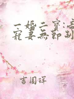 一婚二宝:帝少宠妻无节制