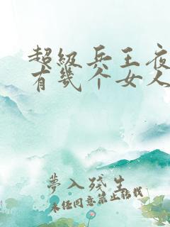 超级兵王夜风武有几个女人
