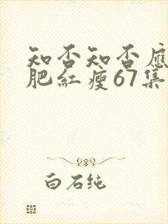 知否知否应是绿肥红瘦67集