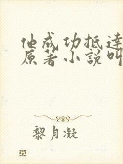 他成功抵达花心原著小说叫什么