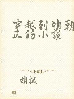 穿越到明朝张居正的小说