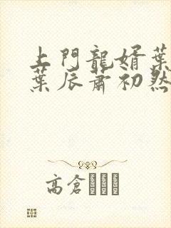 上门龙婿叶辰 叶辰萧初然最新