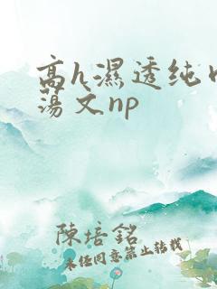 高h湿透纯肉放荡文np