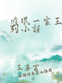 催眠一家王鹏系列小说