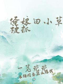 俺娘田小草喜凤被抓