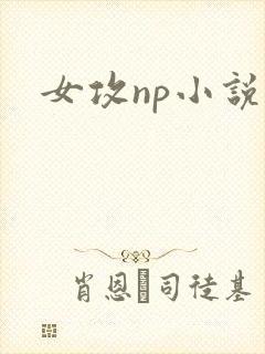 女攻np小说