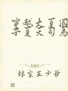 穿越大夏国九皇子夏天司马兰小说