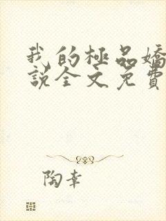 我的极品娇妻小说全文免费阅读